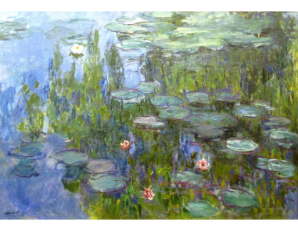 VCM 34 Claude Monet - Lekníny