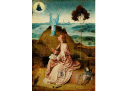 DDSO-2754 Hieronymus Bosch - Svatý Jan Evangelista na Patmu