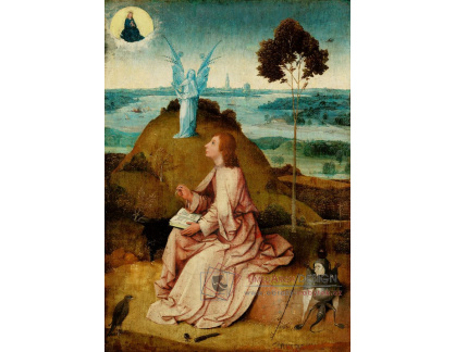 DDSO-2754 Hieronymus Bosch - Svatý Jan Evangelista na Patmu