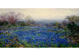 D-8374 Julian Onderdonk - Pole modrých květin