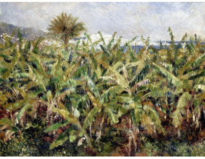 VR14-29 Pierre-Auguste Renoir - Banánové pole