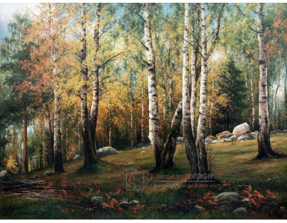 SO XIV-410 Thorsten Waenerberg - Podzimní krajina