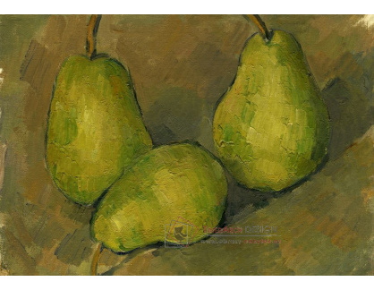 D-7528 Paul Cézanne - Tři hrušky