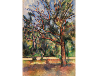 D-8002 Paul Cézanne - Stromy a silnice