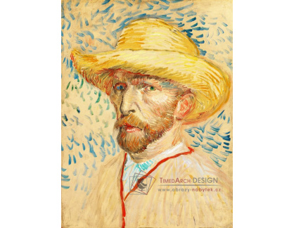 A-3229 Vincent van Gogh - Autoportrét se slaměným kloboukem