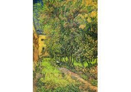 VR2-354 Vincent van Gogh - Azyl v zahradě v Saint-Remy