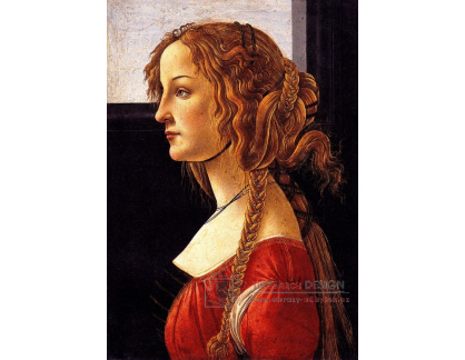 R17-44 Sandro Botticelli - Portrét mladé ženy