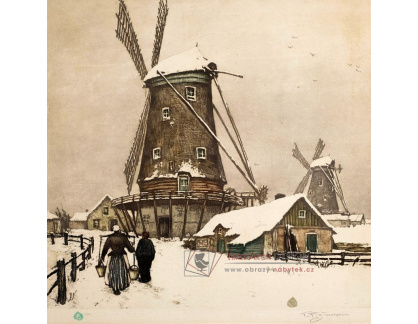 D-10173 František Šimon Tavík - Holandská krajina v zimě