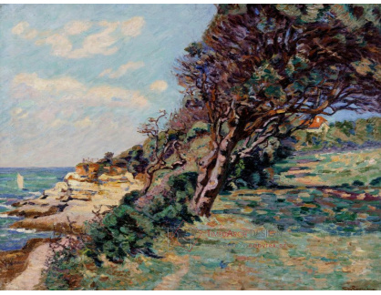 A-3371 Armand Guillaumin - V Pointe de la Douane