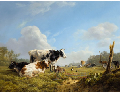 A-3506 Henriette Ronner Knip - Krávy na pastvině