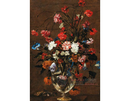 D-8683 Neznámý autor - Karafiáty a jiné květiny ve skleněné váze
