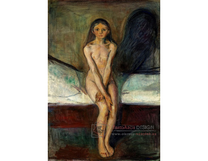 VEM13-87 Edvard Munch - Adolescence