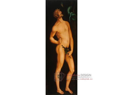 DDSO-2505 Hans Baldung - Adam