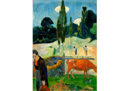 R9-22 Paul Gauguin - Červená kráva