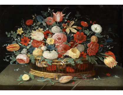 SO XIV-447 Jan van Kessel - Květinové zátiší