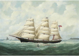 D-6455 Edouard Adam - Americká loď Olive
