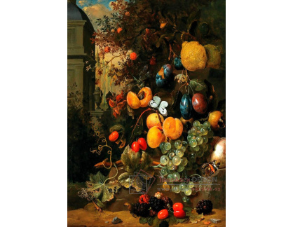 D-9129 Jan Mortel - Hrozny, meruňky, švestky, citrony, ostružiny a jiné ovoce