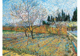 VR2-68 Vincent van Gogh - Kvetoucí ovocný sad s broskvoněmi
