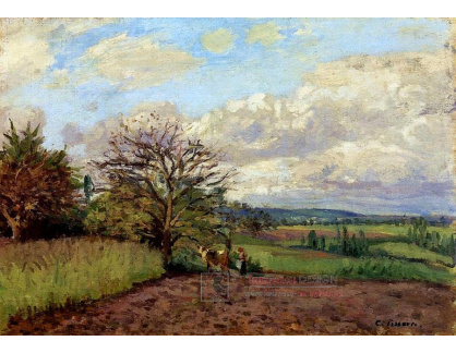 VCP-162 Camille Pissarro - Krajina s pasákem krav