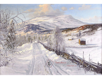 SO IV-376 Carl Brandt - Zimní krajina Norska