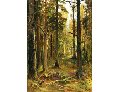 DDSO-2866 Julius Klever - Odpočinek v lese