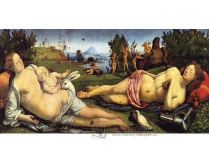 VP233 Piero di Cosimo - Venuše a Mars