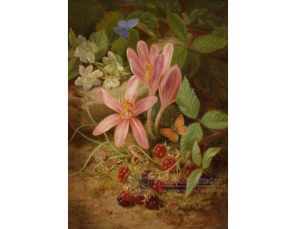 VSO 1282 Josef Lauer - Podzimní květiny s ostružinami
