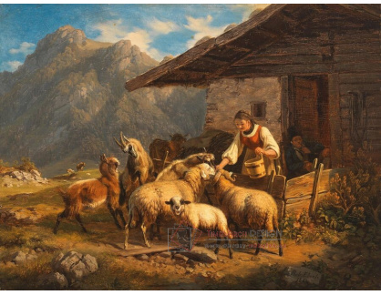 A-5196 Robert Eberle - Krávy s ovcemi a kozami v Alpách