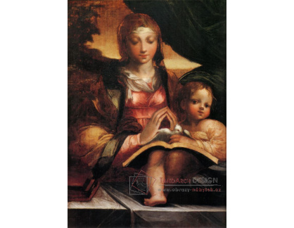 DDSO-2944 Parmigianino - Madonna Doria