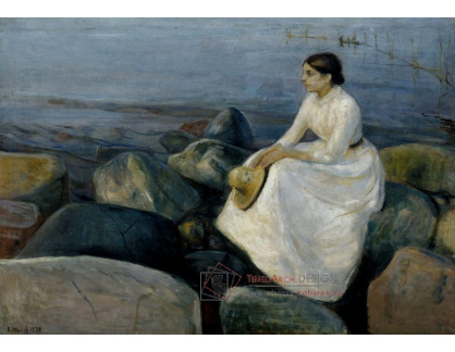 VEM13-45 Edvard Munch - Letní noc na pláži