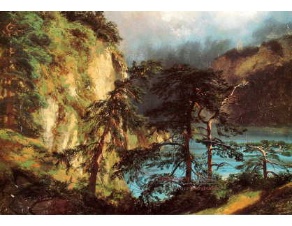 VSO 521 Alexandre Calame - Pohled na jezero Uri