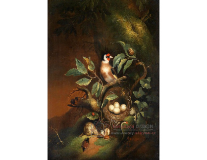 SO XVII-140 Franz Michael Sigmund von Purgau - Zátiší s ptačím hnízdem