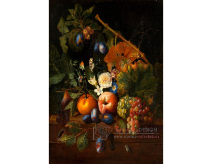 DDSO-4458 Peeter Snyers - Zátiší s květinami a ovocem