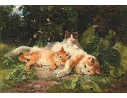 DDSO-5149 Julius Adam - Kočka se svými koťaty