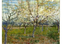 VR2-168 Vincent van Gogh - Zahrada s kvetoucími meruňkami