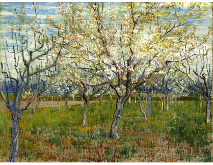 VR2-168 Vincent van Gogh - Zahrada s kvetoucími meruňkami
