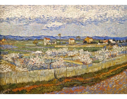 A-9 Vincent van Gogh - La Crau s kvetoucími broskvoněmi