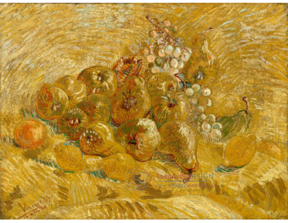 VR2-229 Vincent van Gogh - Zátiší s hruškami hrozny a citrony