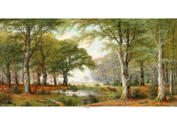 A-1234 Jacobus Johannes van Poorten - Večerní lesní krajina