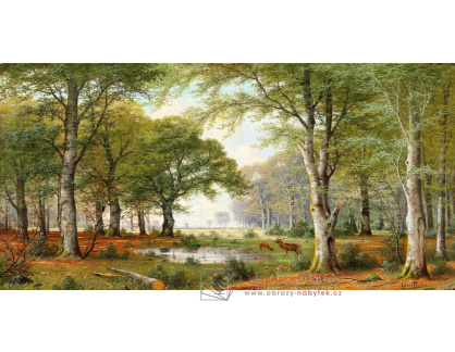 A-1234 Jacobus Johannes van Poorten - Večerní lesní krajina
