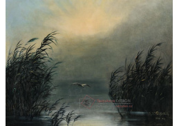 A-8715 Karl Wilhelm Diefenbach - Racek v rákosí