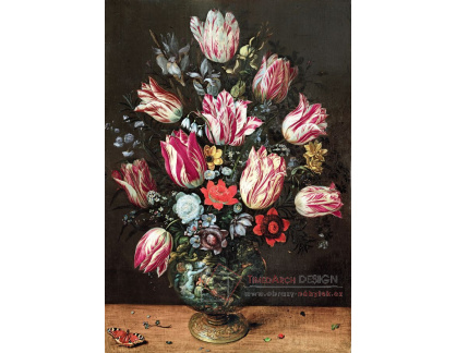 DDSO-5370 Andries Daniels a Frans Francken - Váza s tulipány