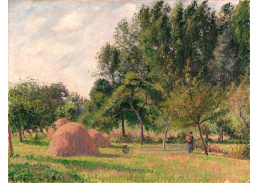 DDSO-2249 Camille Pissarro - Ráno v Haystacks