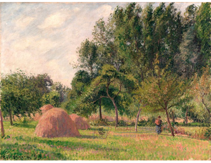 DDSO-2249 Camille Pissarro - Ráno v Haystacks