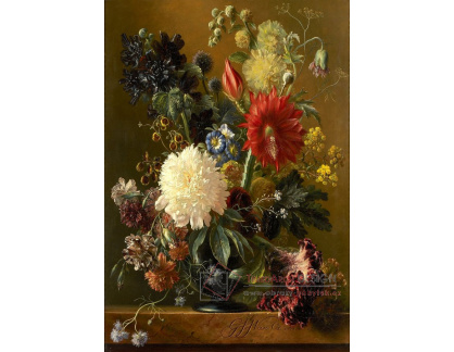 VKZ 541 Johannes van Os - Zátiší s květinami