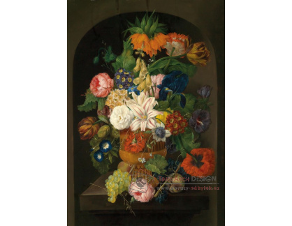DDSO-4425 Johann Baptist Drechsler - Zátiší s květinami a vinnými hrozny