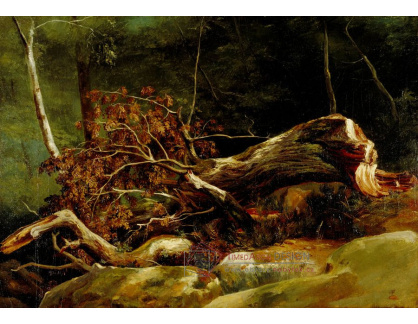 D-6972 Achille Etna Michallon - Zlomený strom vr Fontainebleau