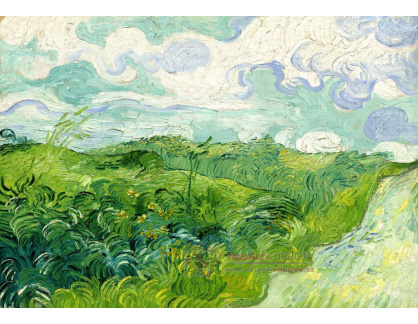 D-7701 Vincent van Gogh - Zelené pšeničné pole v Auvers