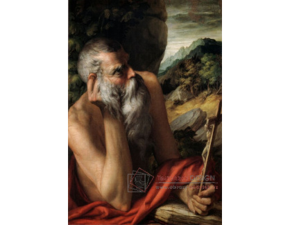 SO VII-230 Parmigianino - Svatý Girolamo