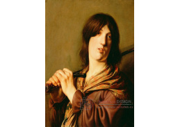 KO V-238 Salomon de Bray - David s mečem